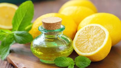 Elixir au citron